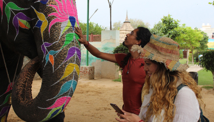 Showering the Elephant